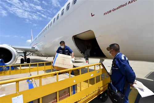 出口需求回暖 天河機(jī)場復(fù)航后首開國際定期貨運航線