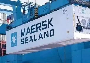 東莞國際物流漕幫 中國市場冷凍食品進口爆炸式增長下的國際物流機遇與挑戰